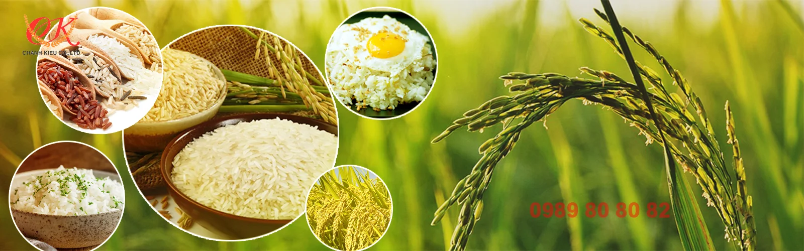 Gạo tết giá rẻ bất ngờ đã có tại Gạo Chánh Kiều