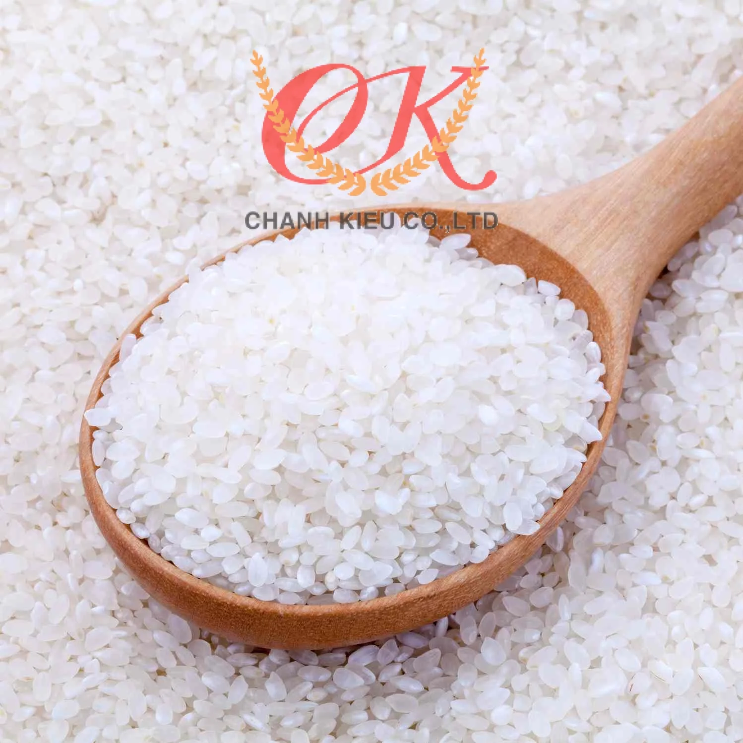 Giới thiệu và lợi ích của Gạo