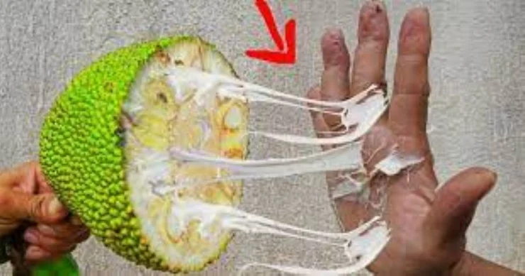Bỏ túi ngay 10 mẹo vặt từ gạo mà bạn nên biết