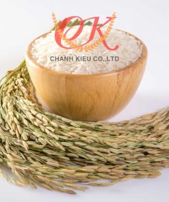 Gạo Lài Bún 2