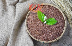 cach-kiem-tra-gao-that